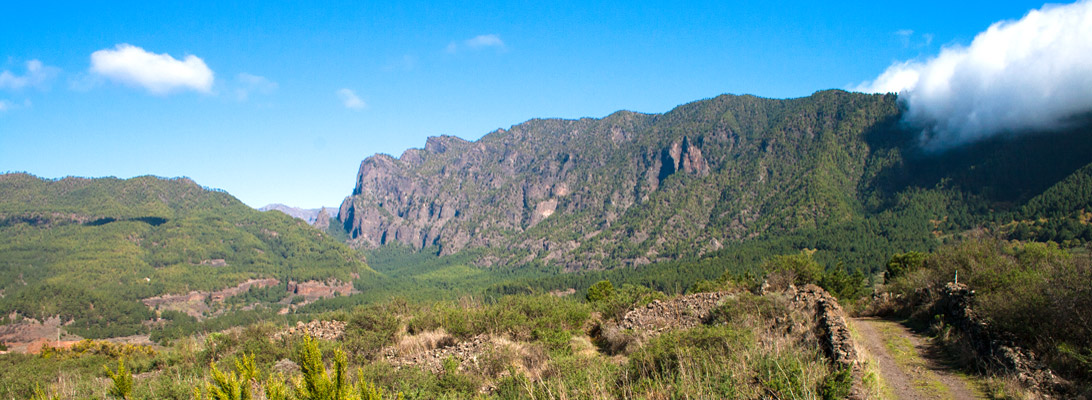 Cumbre and Cumbrectia