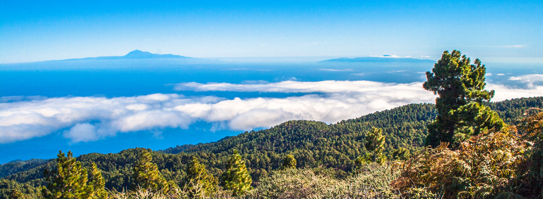 Tenerife and Gomera