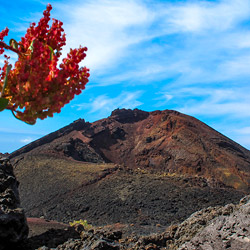 Der Vulkan Teneguia an der Südspitze La Palmas