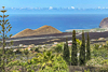 Casa Amalia, Blick auf das Lavafeld bei la Laguna