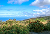 Casa la Palmera, Blick Richtung Tazacorte